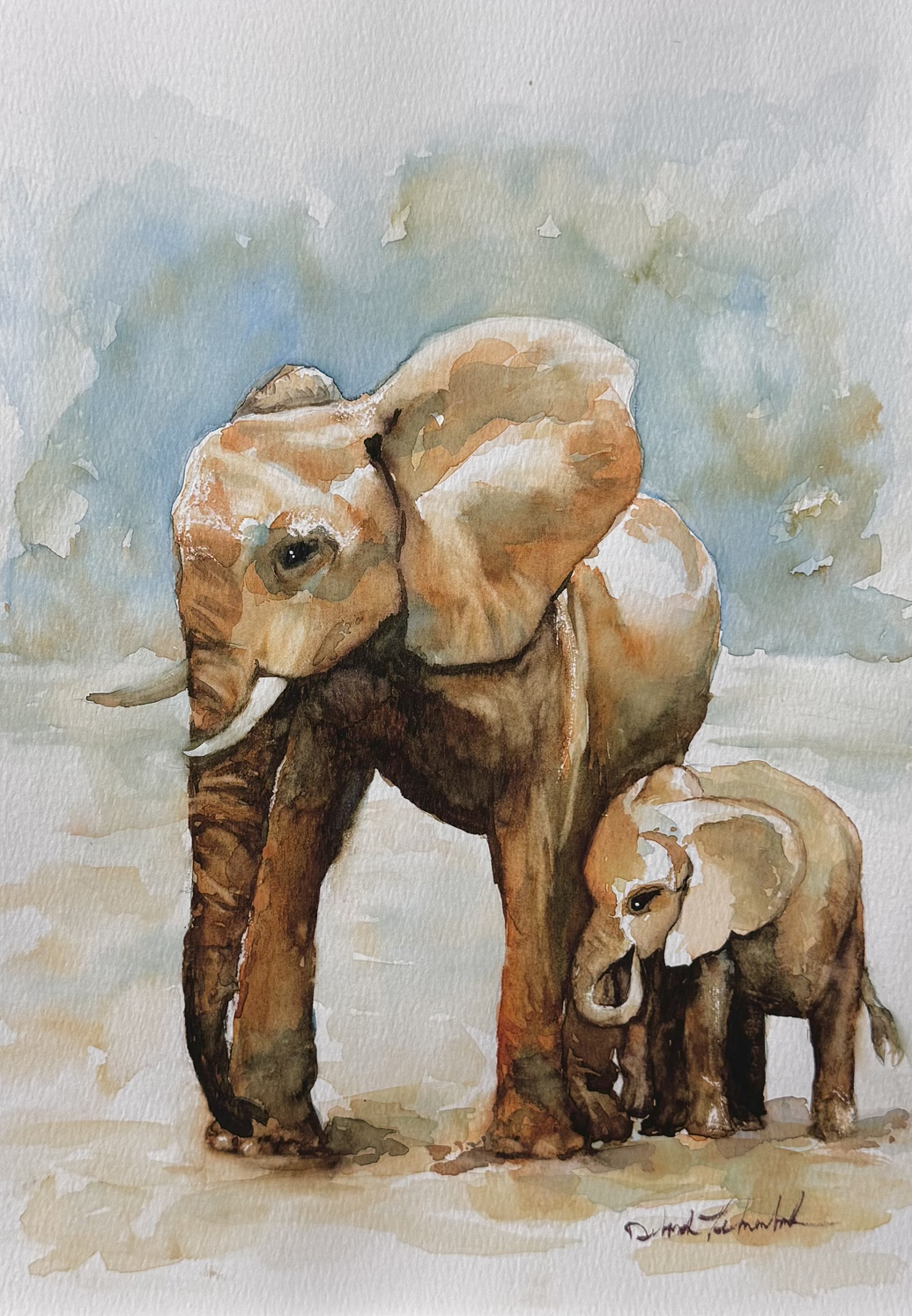 Elephants