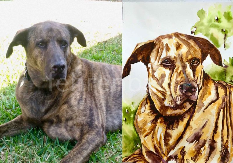 Sample Pet Painting