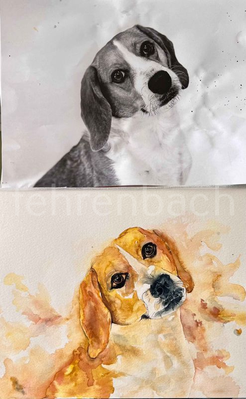 Sample Pet Painting