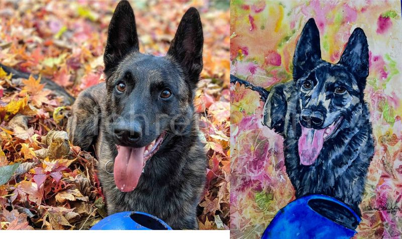 Sample Pet Painting